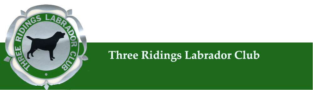 Three Ridings Labrador Club